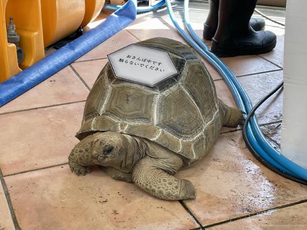 Trip Recap: Mie, Wakayama, Nagasaki, and Yamaguchi (March, 2025)