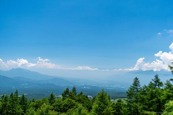 Trip Photo: Kiyosato, Yashimagahara, Utsukushigahara (July, 2025)