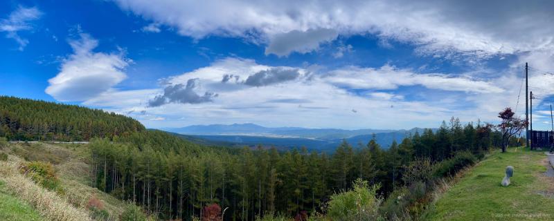 IMG_3586.jpg