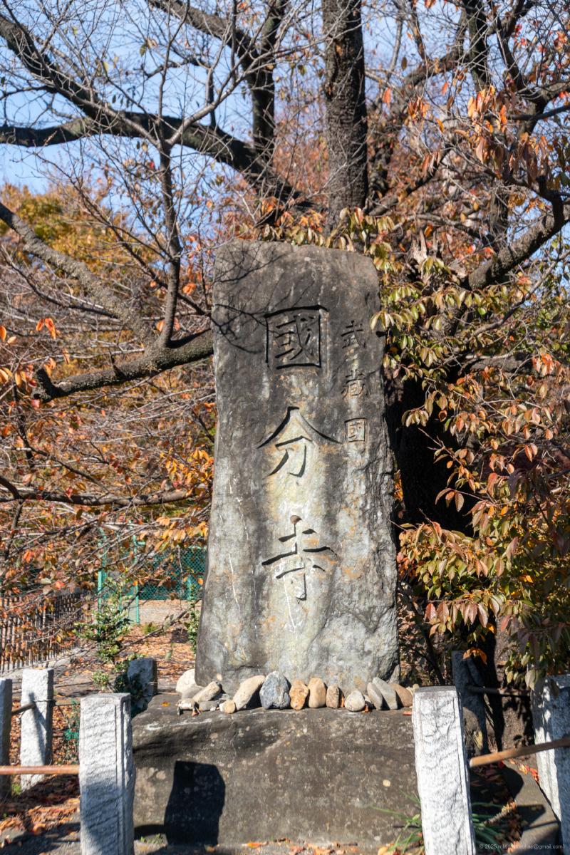 DSC06406.jpg