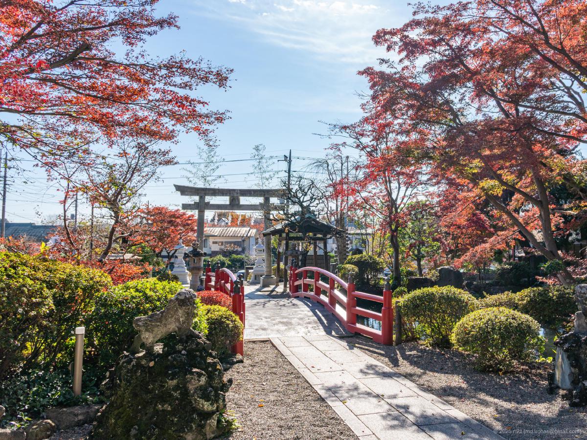 旅の写真: 貫井神社（2025年11月）