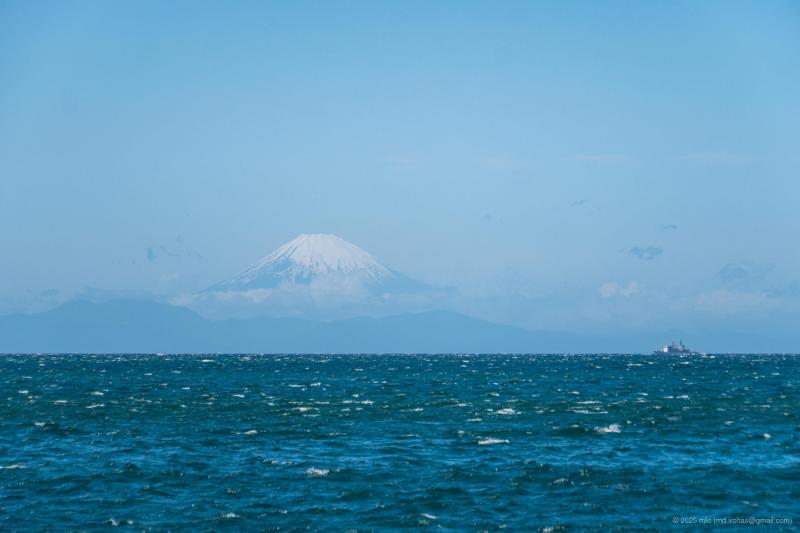 DSC04986.jpg