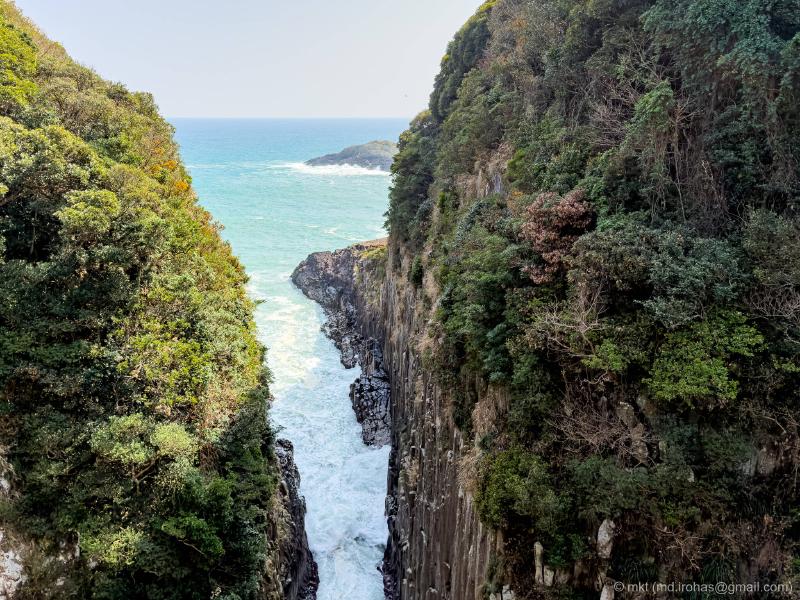 IMG_0182.jpg