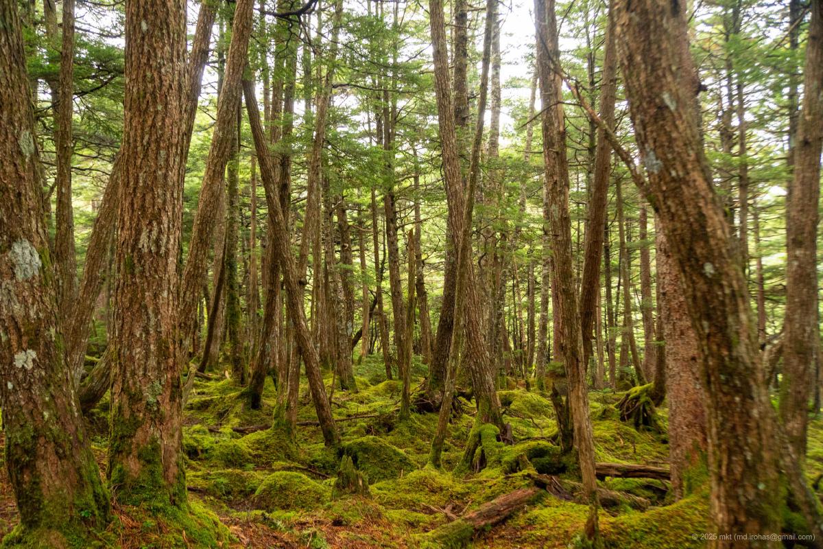 Photo Gallery (2023)