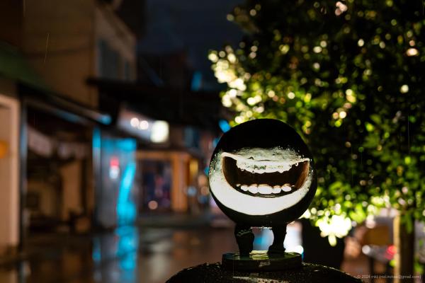 Photo Gallery (2024)